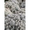 Sternwurz 'Chinesische Narrenkappe' 13 cm Topf