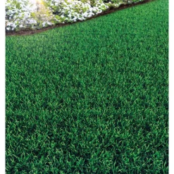 Strapazierrasen 2 kg für ca. 100 m²