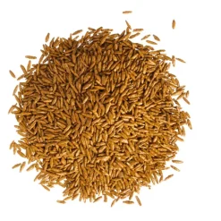 Strapazierrasen 2 kg für ca. 100 m²