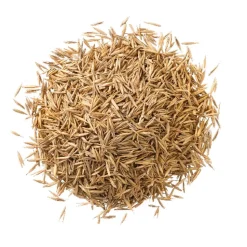 Strapazierrasen 2 kg für ca. 100 m²