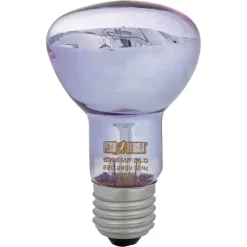 Tageslichtlampe "Swamp Glo" Basking Spot Lamp 75 W