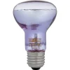 Tageslichtlampe "Swamp Glo" Basking Spot Lamp 50 W