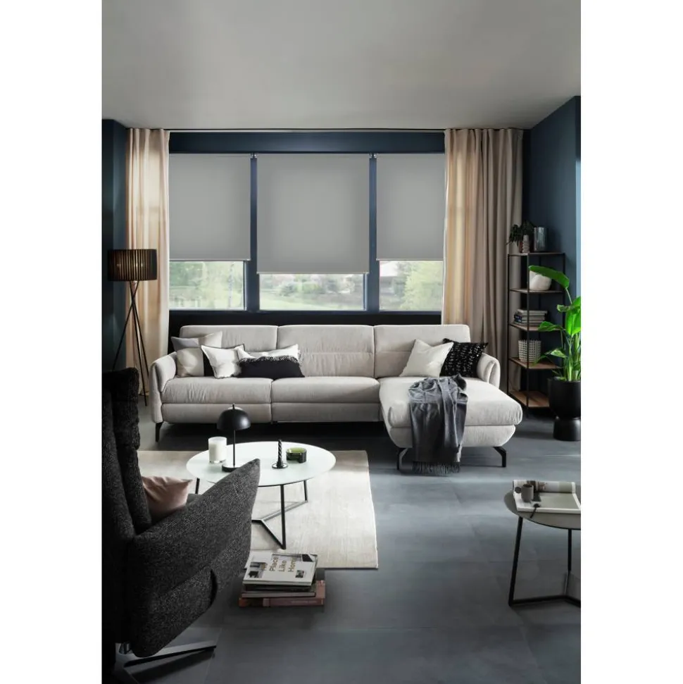 Tageslichtrollo 'Tizia' anthrazit 60 x 150 cm