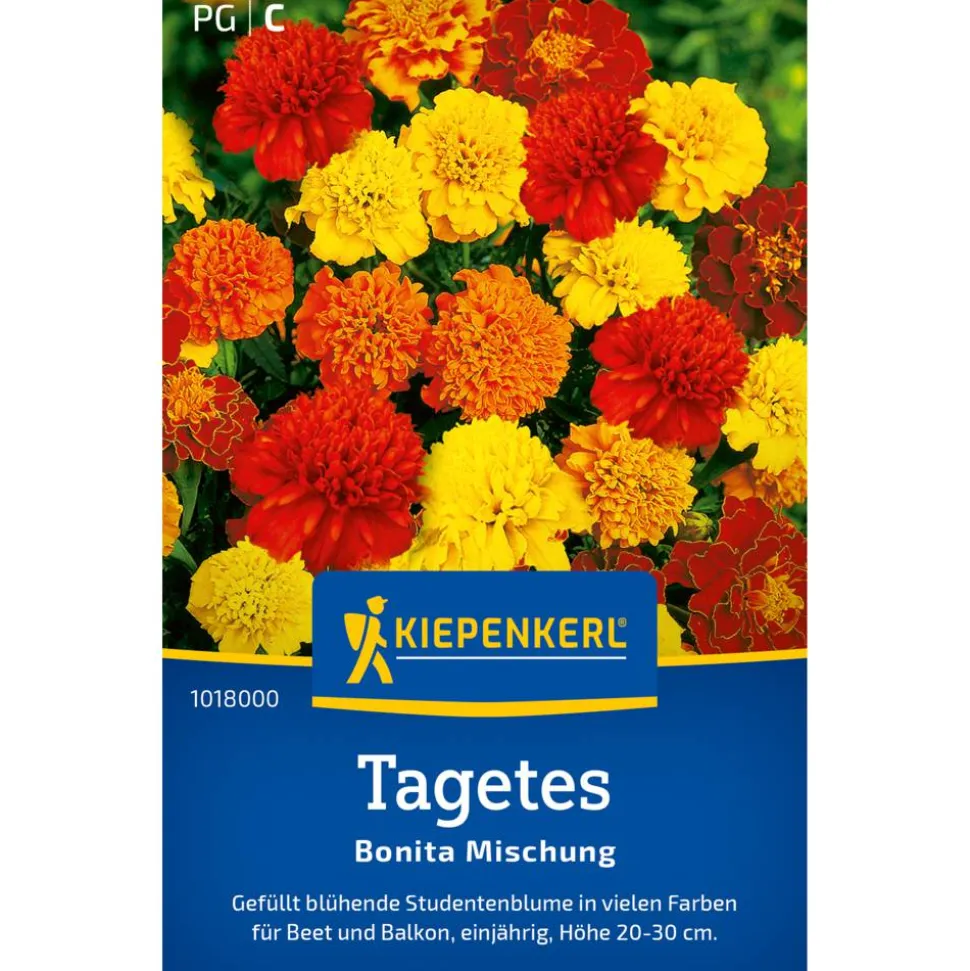 Tagetes 'Bonita Mischung'