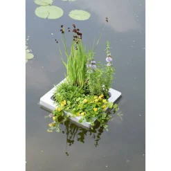 Teich-Schwimminsel mit 4 Pflanzen 25 x 25 cm