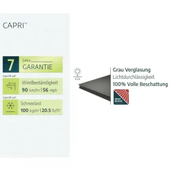 Terrassenüberdachung 'Capri' anthrazit 295 x 314 cm Polycarbonat grau
