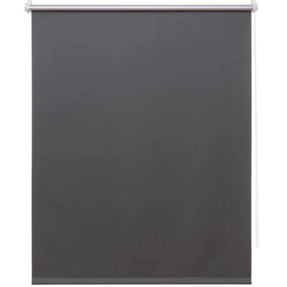 Thermo-Rollo grau 80 x 150 cm
