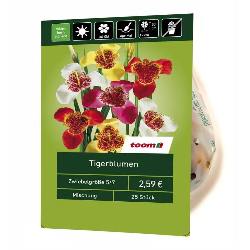 Tigerblumen-Mix 25 Stück