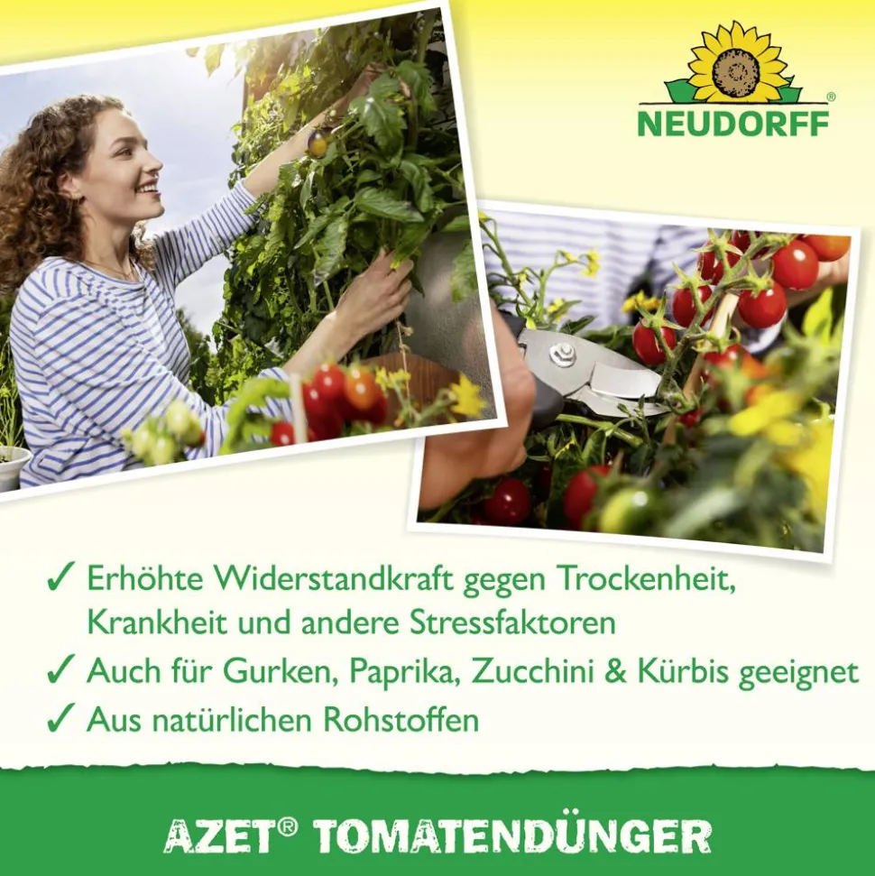Tomatendünger 'Azet' 1,75 kg
