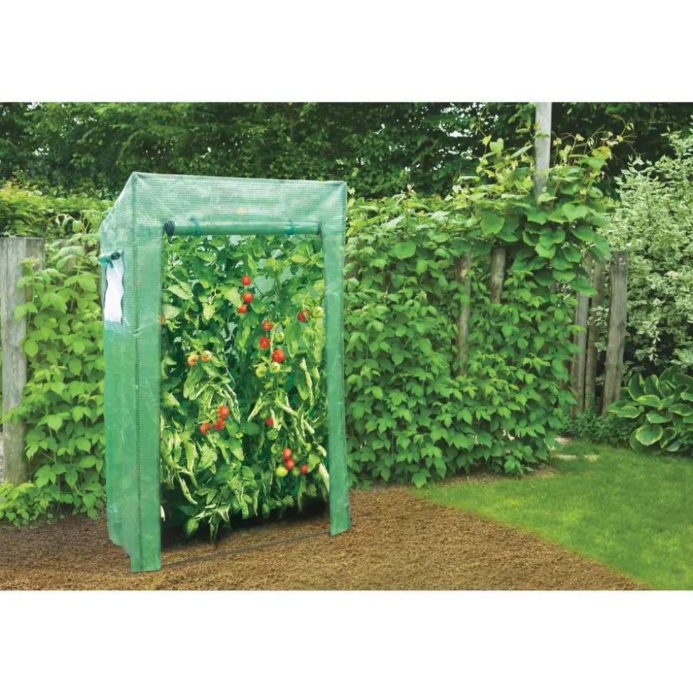 Tomatengewächshaus 100 x 169 x 60 cm