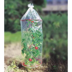 Tomatenhauben-Set transparent Ø 0,41 x 1,3 m, 3 Stück