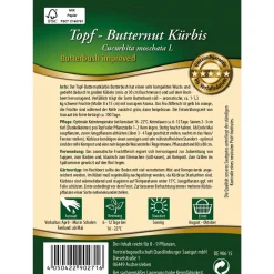 Topf-Butternut Kürbis 'Butterbush improved'