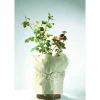 Topfschutzvlies 50 x 600cm beige