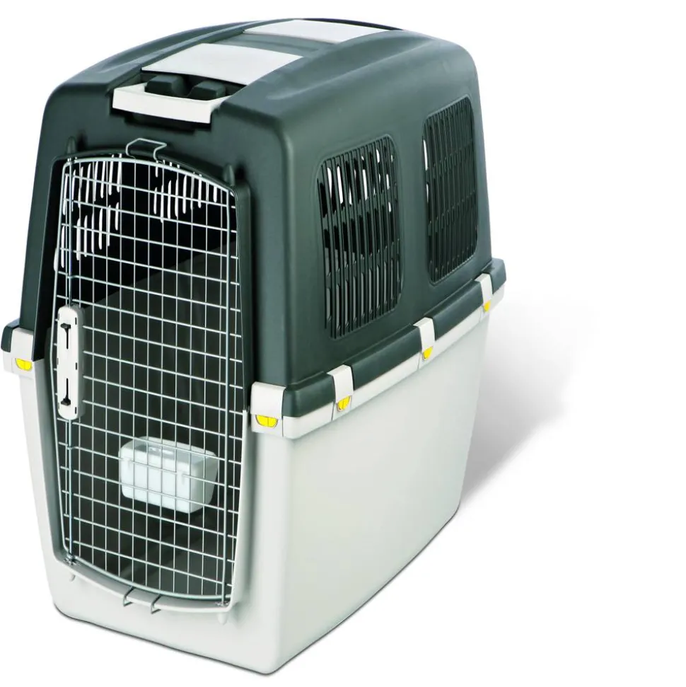 Transportbox grau