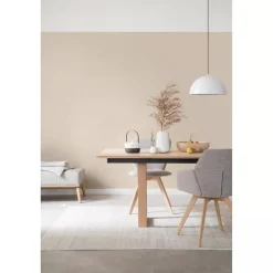 Trendfarbe 'Cosy' beige matt 2,5 l