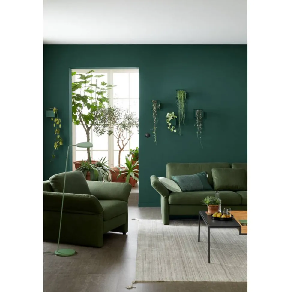 Trendfarbe 'Jungle' graugrün matt 2,5 l