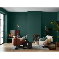 Trendfarbe 'Jungle' graugrün matt 2,5 l