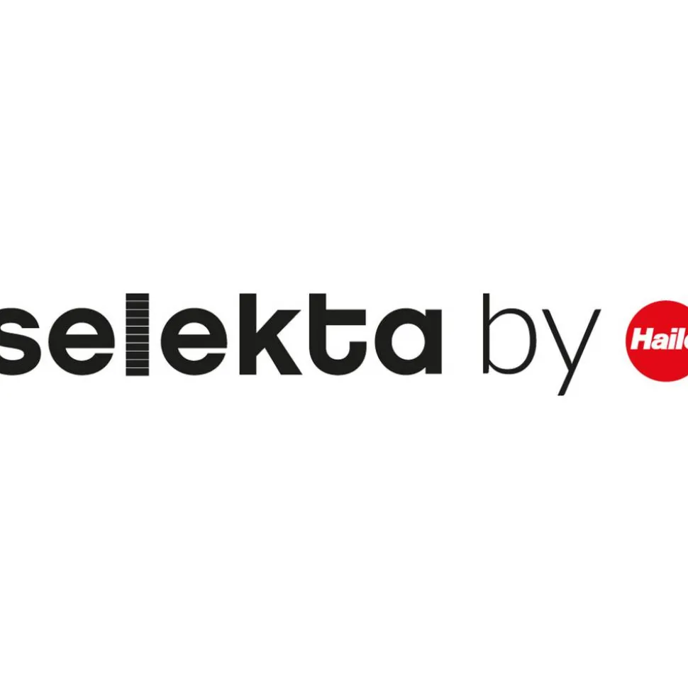 Trittleiter 'DK40 Selekta BasicLine' 2 Stufen, silbern 116 cm