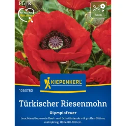 Türkischer Riesemohn Olympiafeuer'