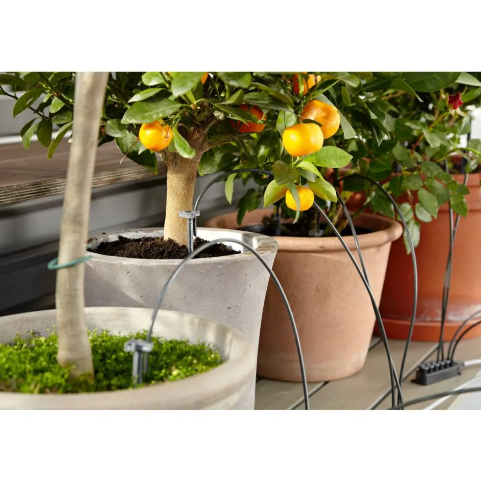 Urlaubsbewässerung-Set 'citygardening'