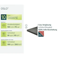 Vierercarport 'Oslo' anthrazit 1197,5 x 596,5 cm Polycarbonat grau