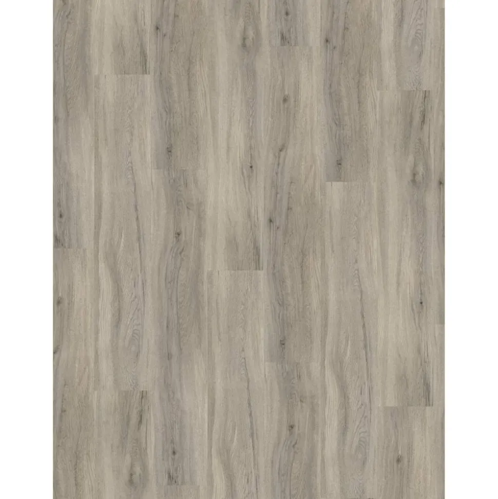 Vinylboden 'Basic 30' Eiche Holz grau 9,4 mm