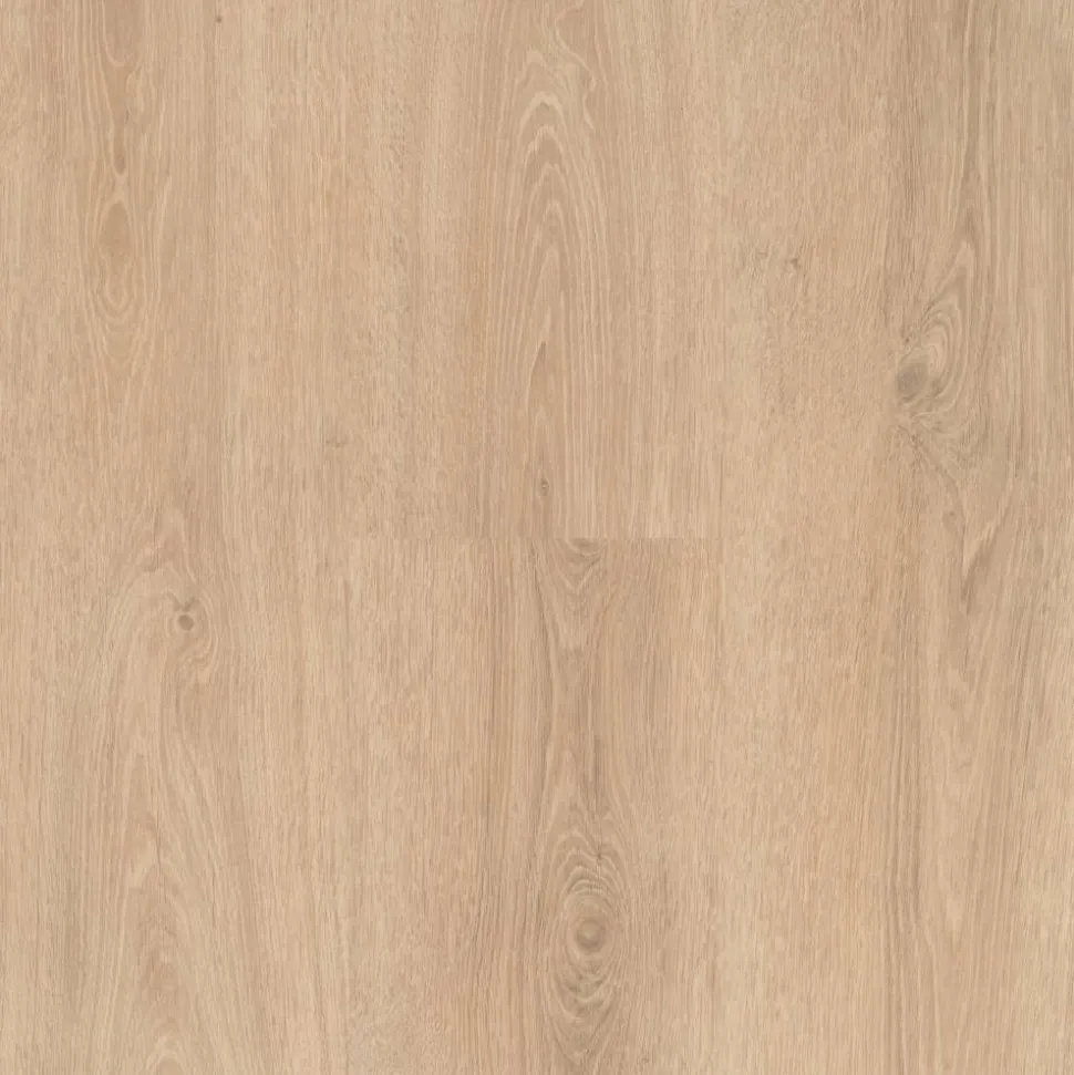 Vinylboden 'Basic 30' Eiche Sereno geschliffen 9,4 mm