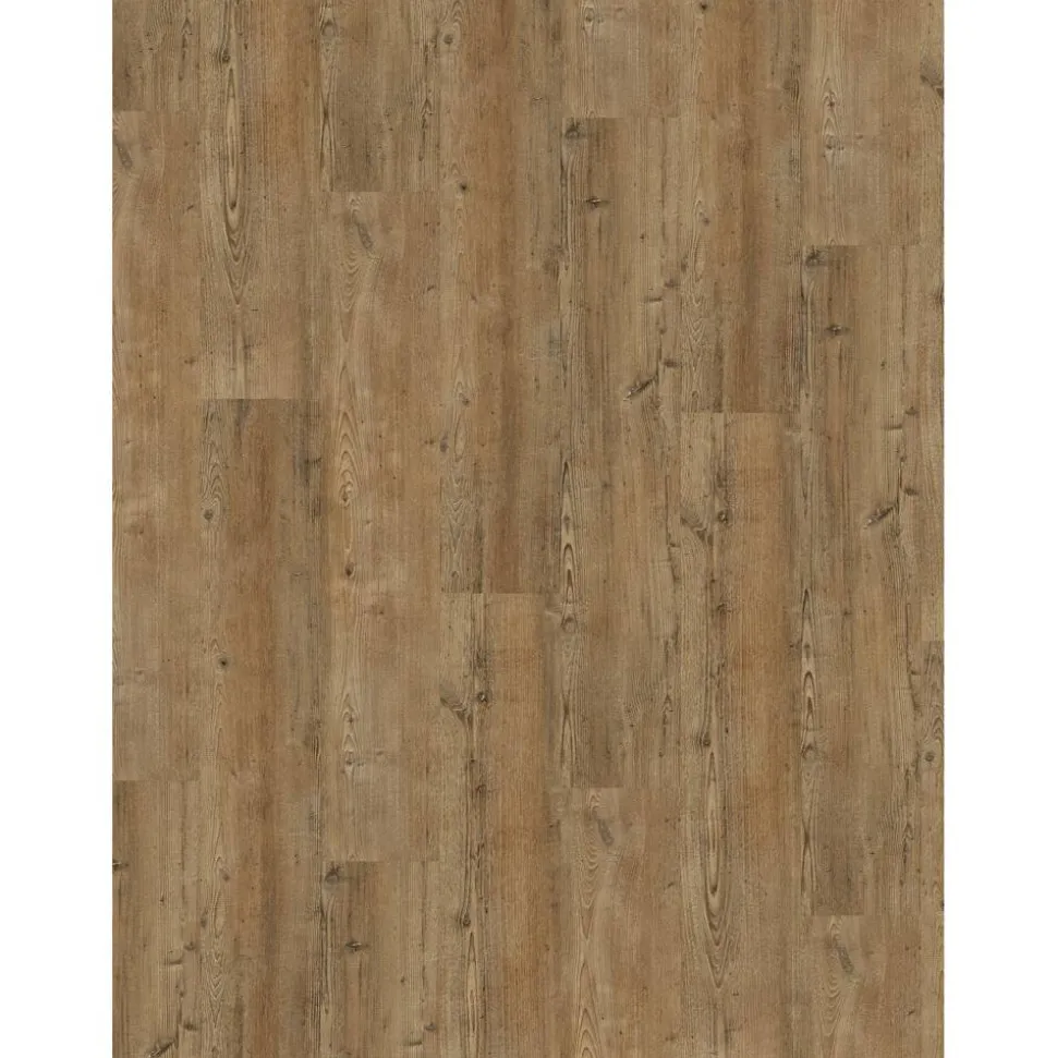 Vinylboden 'Basic 30' Pinie Toscana Braun 9,4 mm