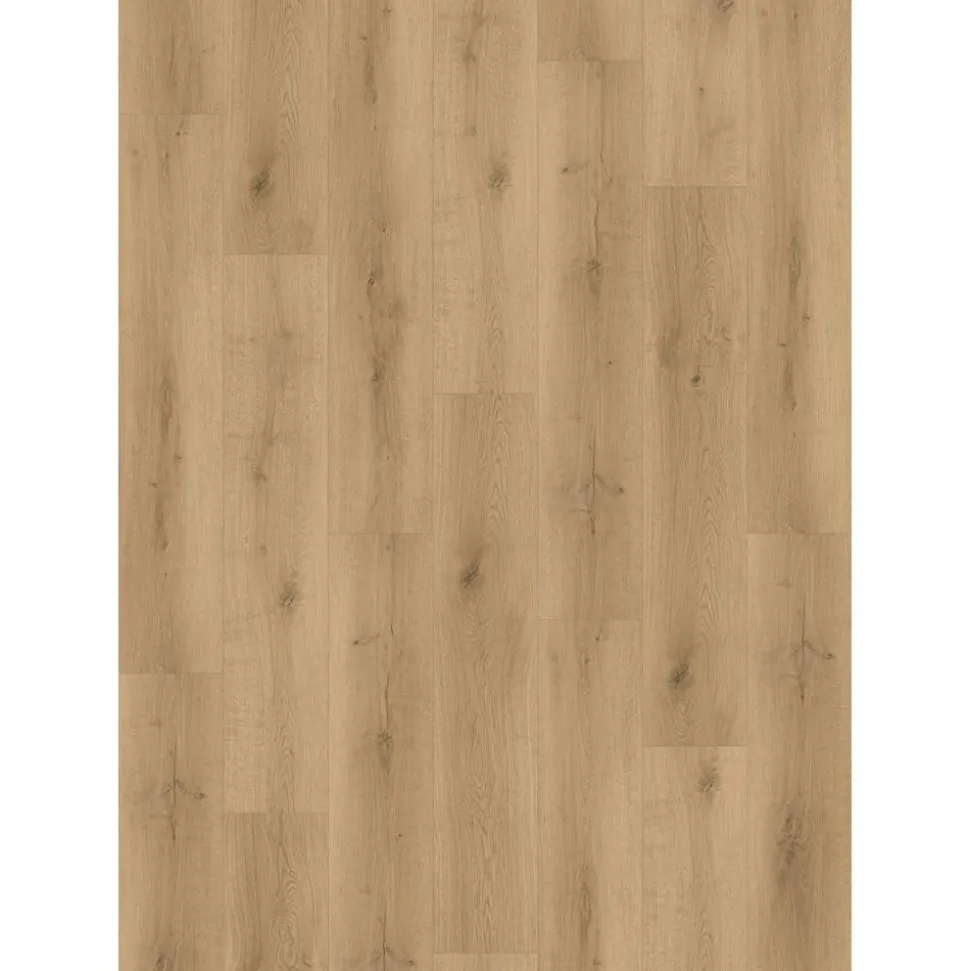 Vinylboden 'Wellington' Eiche natur braun 4 mm