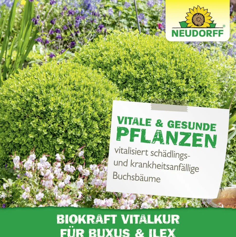 Vitalkur 'BioKraft' für Buxus 300 ml
