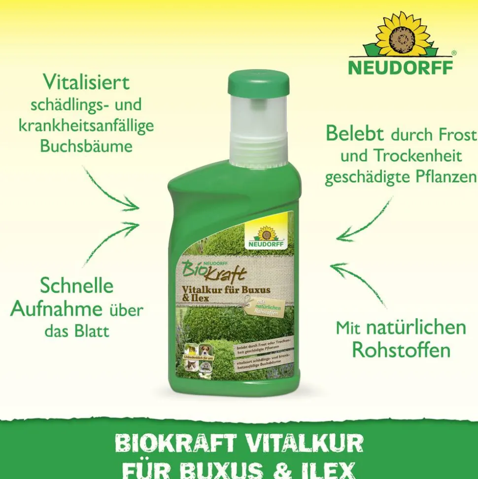 Vitalkur 'BioKraft' für Buxus 300 ml
