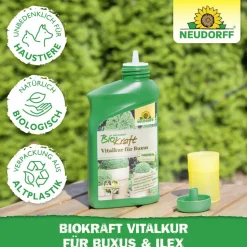 Vitalkur 'BioKraft' für Buxus 300 ml