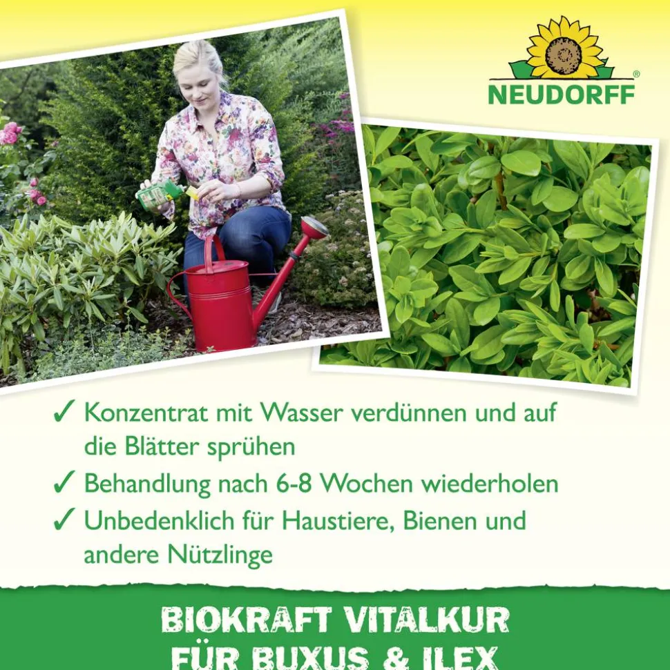 Vitalkur 'BioKraft' für Buxus 300 ml