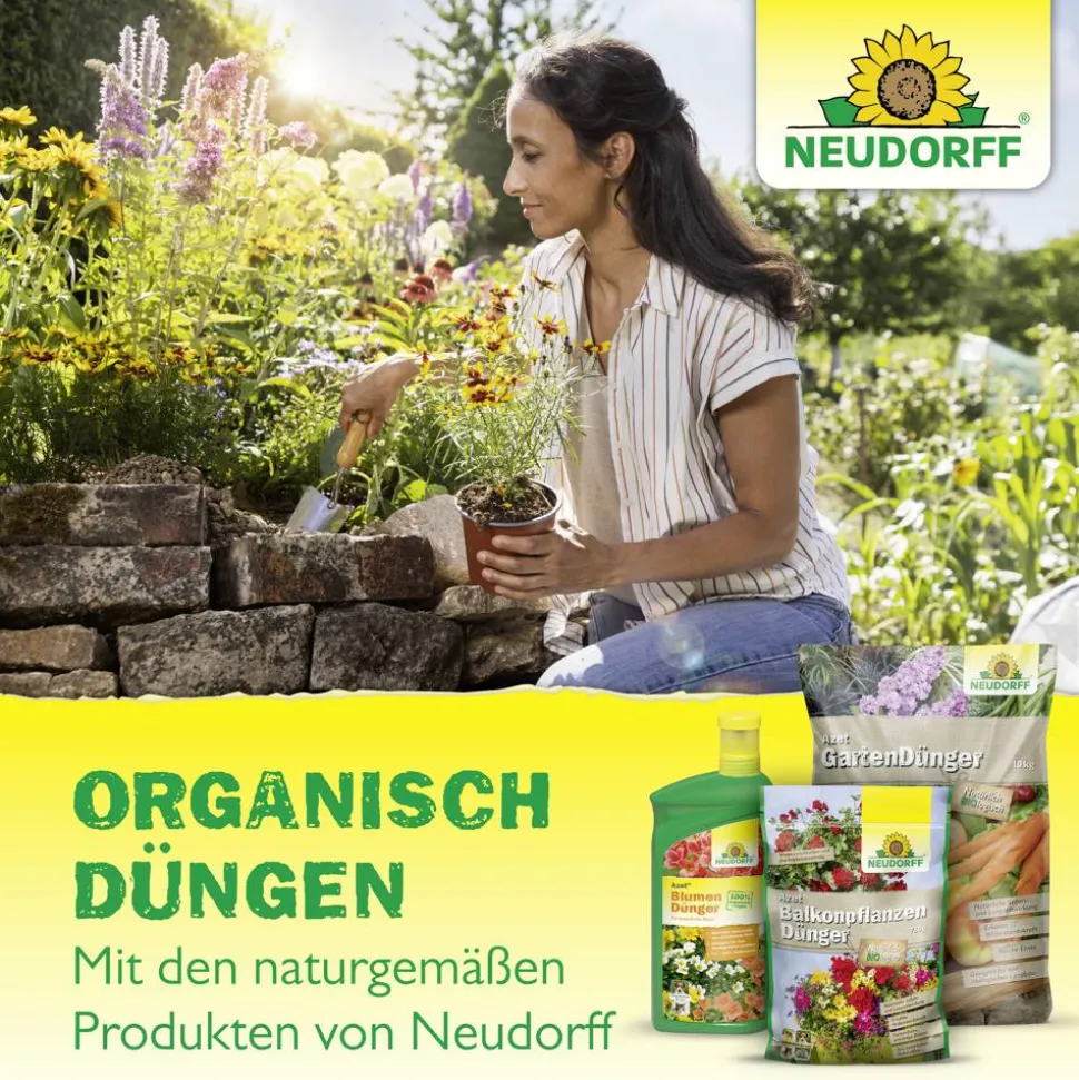 Vitalkur 'BioKraft' für Buxus 300 ml