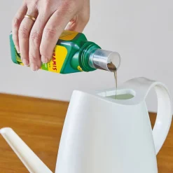Vitalnahrung für Kakteen und Sukkulenten 200 ml