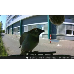 Vogelkamera 'TX-165' Full-HD Birdcam inkl. Futterbehälter