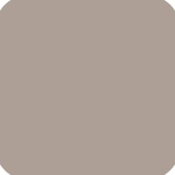 Wandfarbe 'cozy taupe' matt 2,5 l