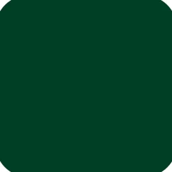 Wandfarbe 'forest green' matt 2,5 l