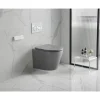 Wand-WC spülrandlos 'Nakia' inklusive WC-Sitz matt hellgrau