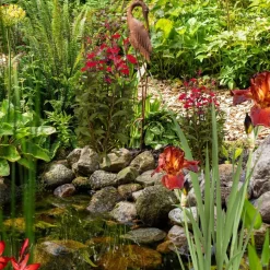 Wasserpflanzen-Mix 'Rote Blüten' 6er-Set