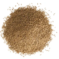 Wassersparrasen 2 kg für ca. 80 m²