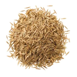 Wassersparrasen 1 kg für ca. 40 m²