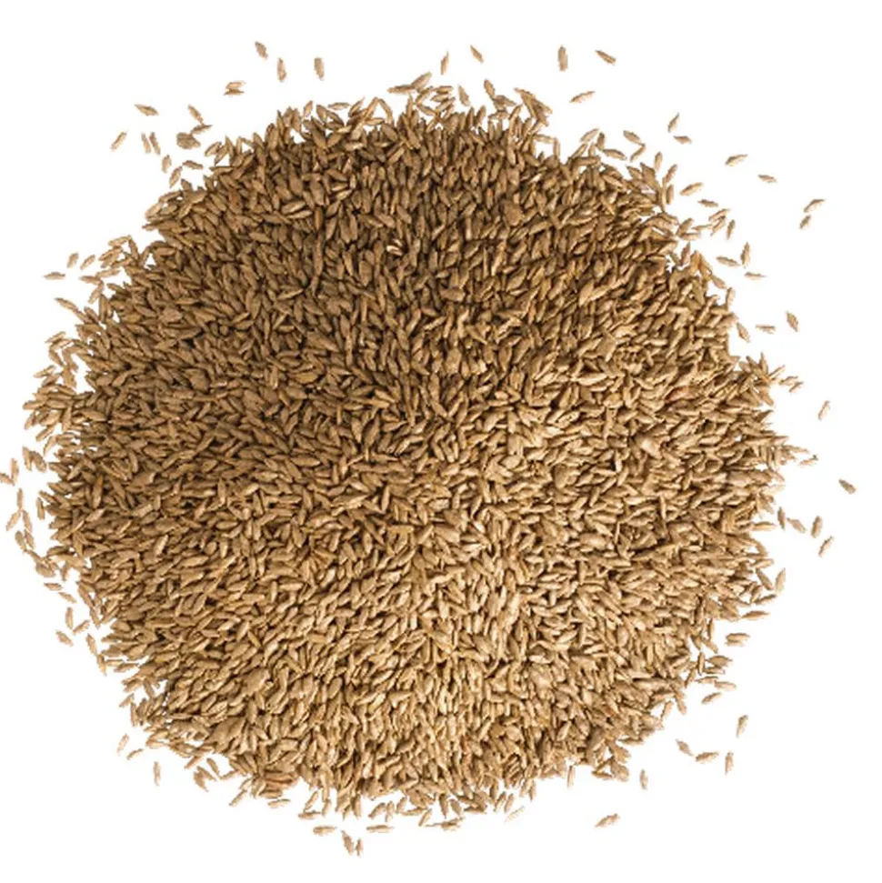 Wassersparrasen 1 kg für ca. 40 m²