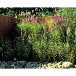 Weidenmatte 'Provence' braun 180 x 300 cm