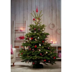 Weihnachtsbaum Nordmanntanne gesägt 100-130 cm