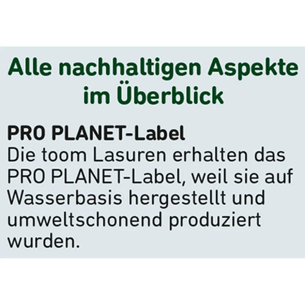 Wetterschutz-Lasur anthrazitfarben 2,5 l