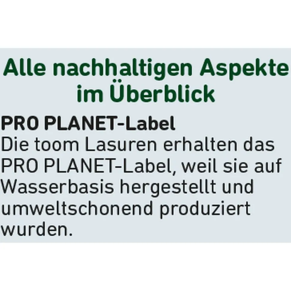 Wetterschutz-Lasur 'Natur' beige 750 ml