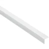 Winkelprofil Aluminium 100 x 2,35 x 2,35 cm