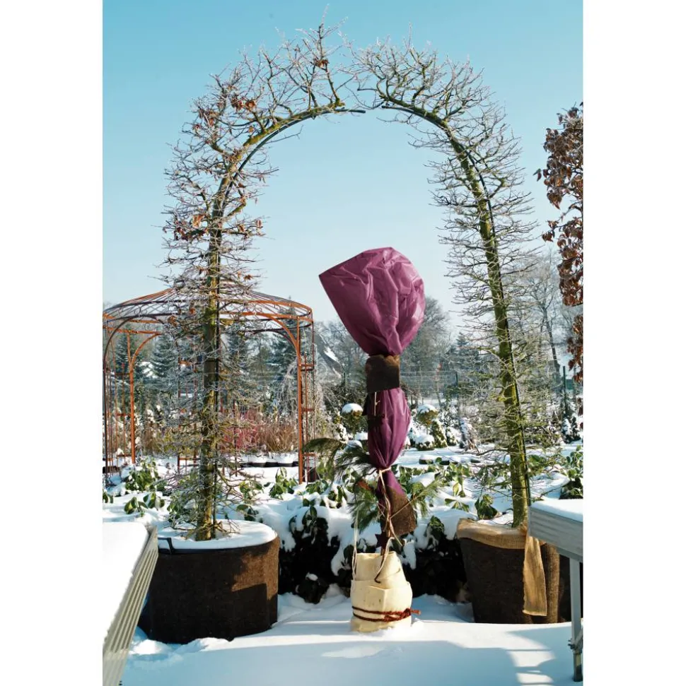 Winterschutz-Vliesgewebe beere 150 x 500 cm
