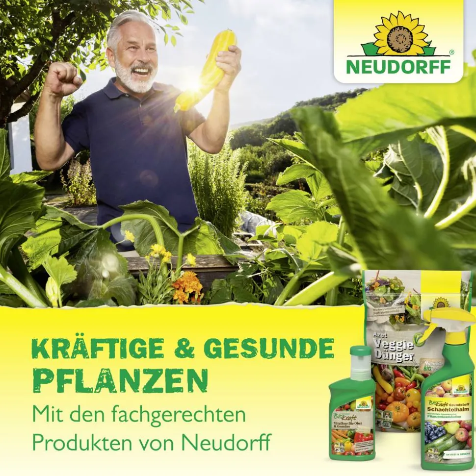 Wurzelaktivator 'Neudofix' 40 g